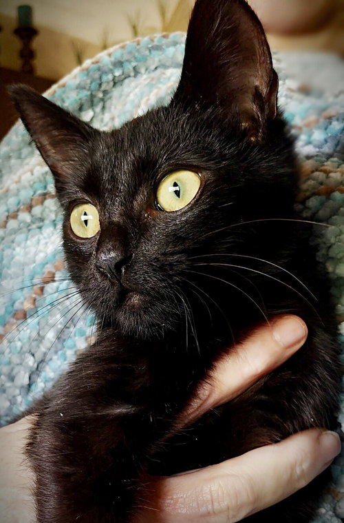 Binx