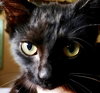 Binx