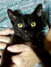 Binx
