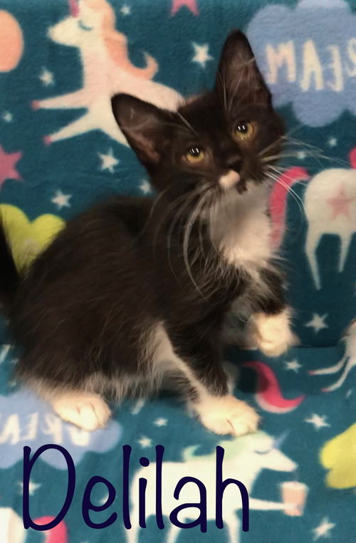 Delilah