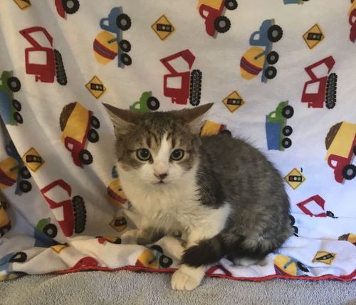 Crystal the Gorgeous Baby Girl