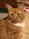 Sir Jeffrey