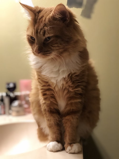 Sir Jeffrey