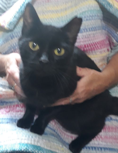Onyx