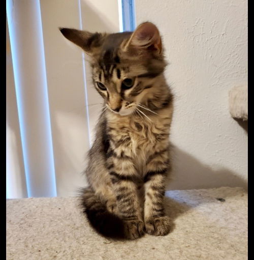 Emmie