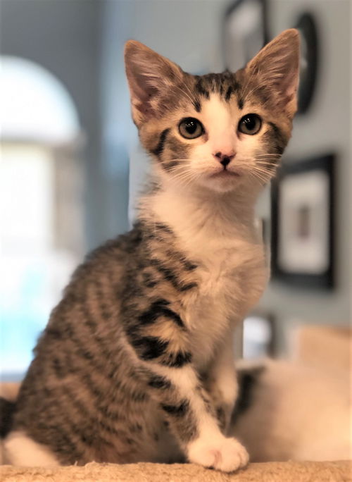Audrey