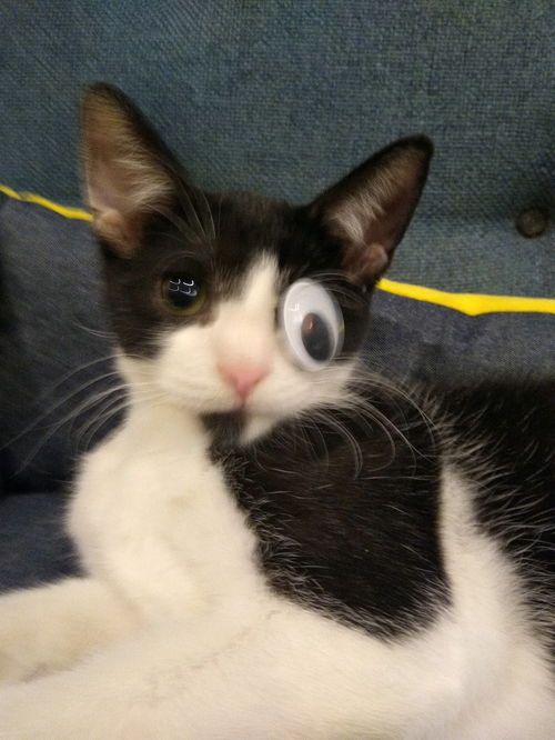 One Eyed Jack