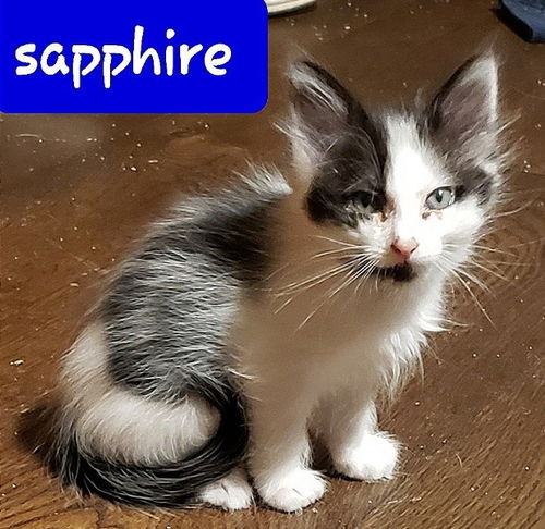 Sapphire