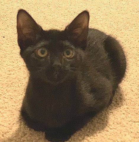 Jade