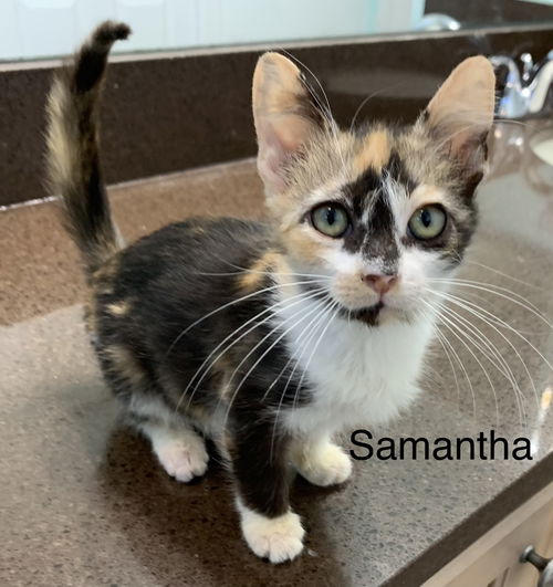 Samantha