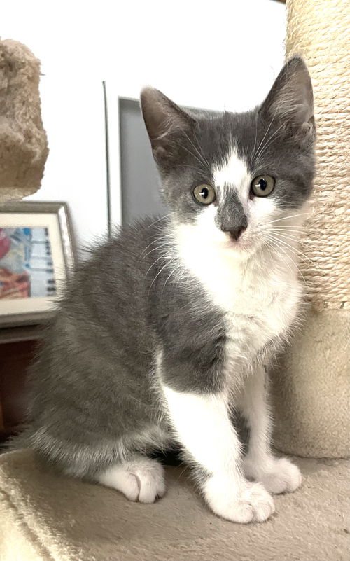 Ella