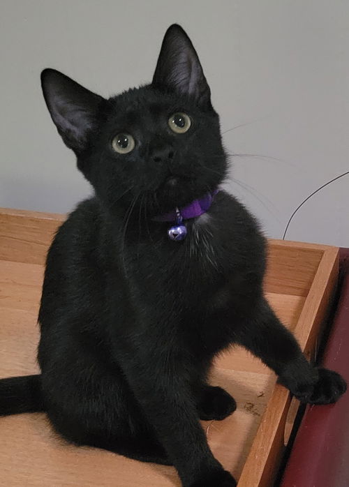 Zoe