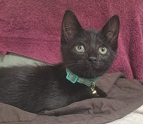 Vera