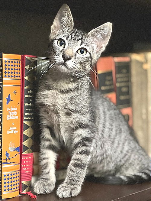 Atari