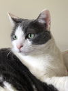 Sissy the Sweetie