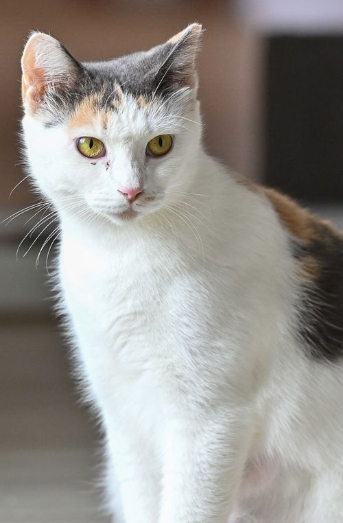 Samantha