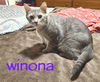 Winona