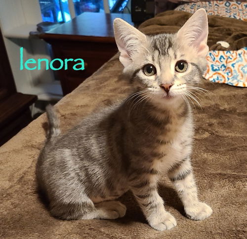 Lenora