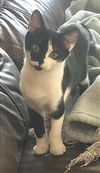 Delilah
