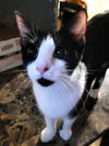 Bill