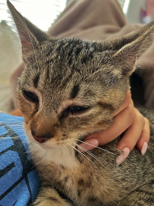 Luna