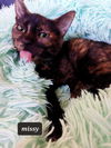Missy