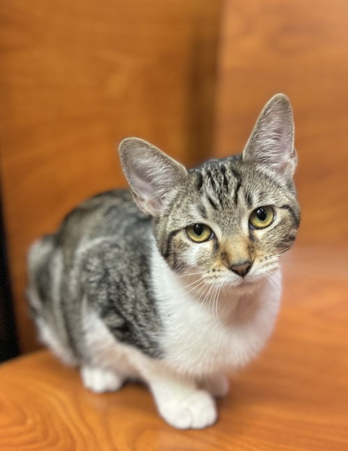 Zoe
