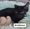 Brickhouse