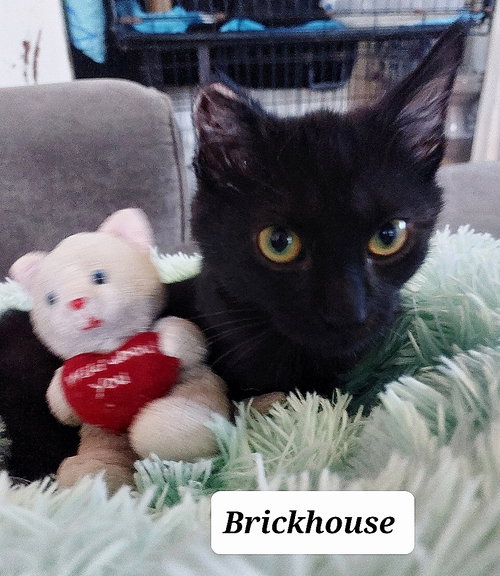 Brickhouse