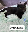 Brickhouse