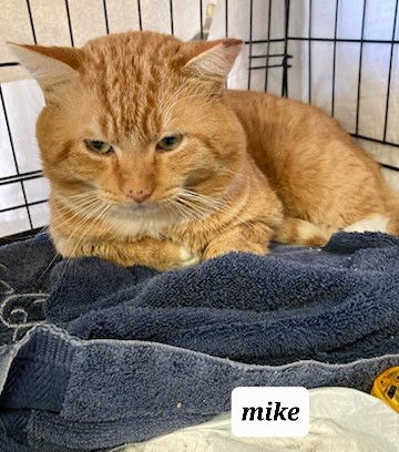 Mike