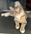 Thelma