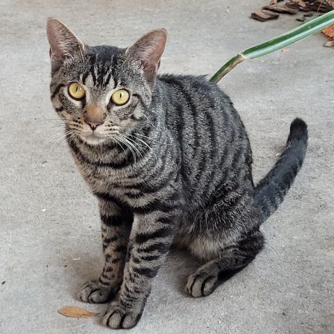 Ernie
