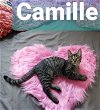 Camille the Playful Sweetheart