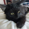 Tufts