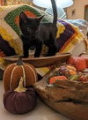 Binx