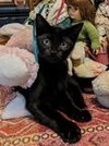 Binx