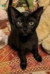 Binx
