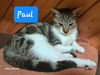 Paul