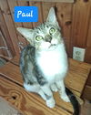 Paul
