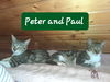 Peter