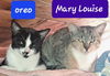 Mary Louise