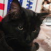 Blackie Romero