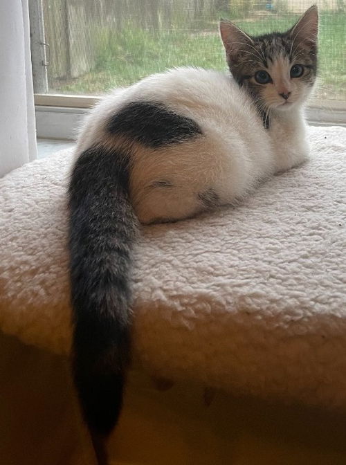 Ann Purry