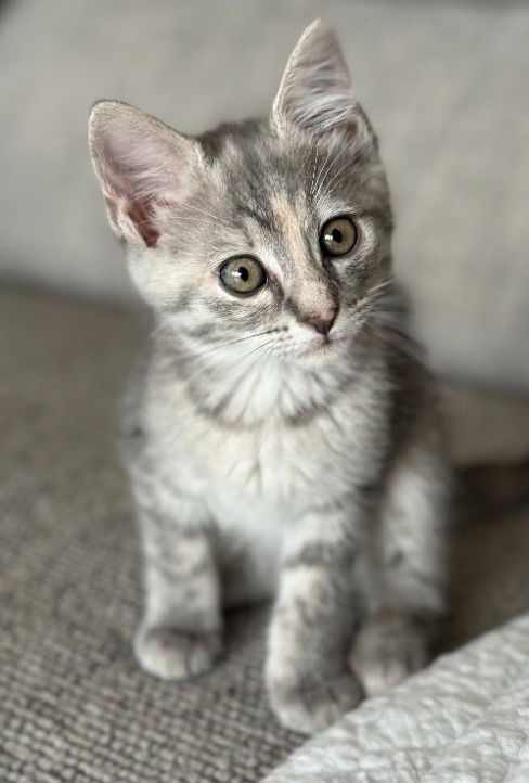 Emily