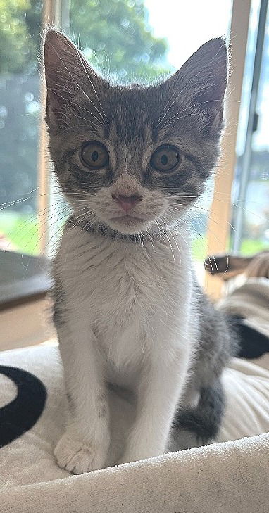 Ellie
