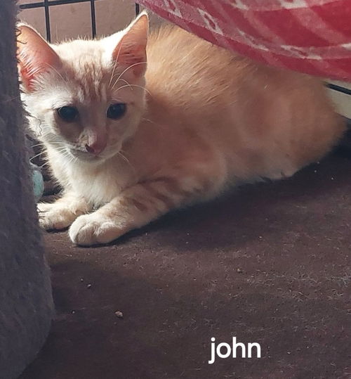 John