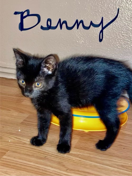 Benny