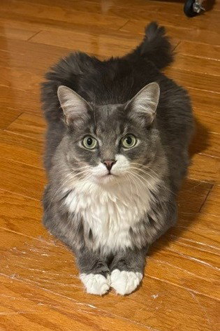 Fluff