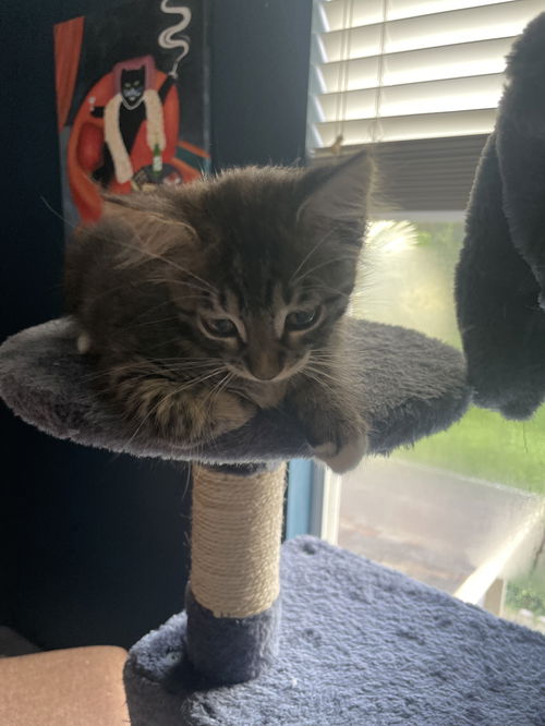 Jinxy
